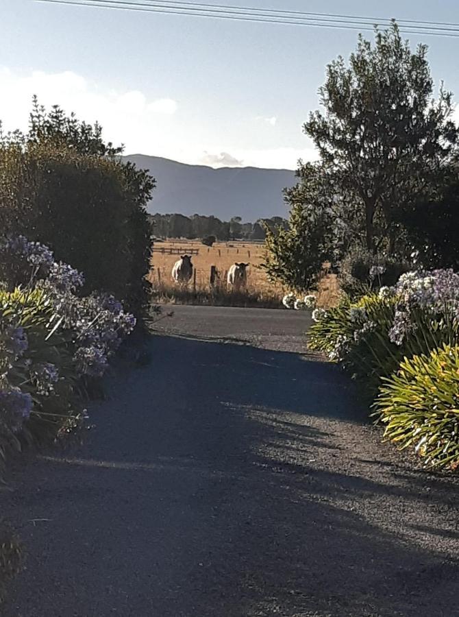 15 On Wards Bed & Breakfast Greytown Luaran gambar